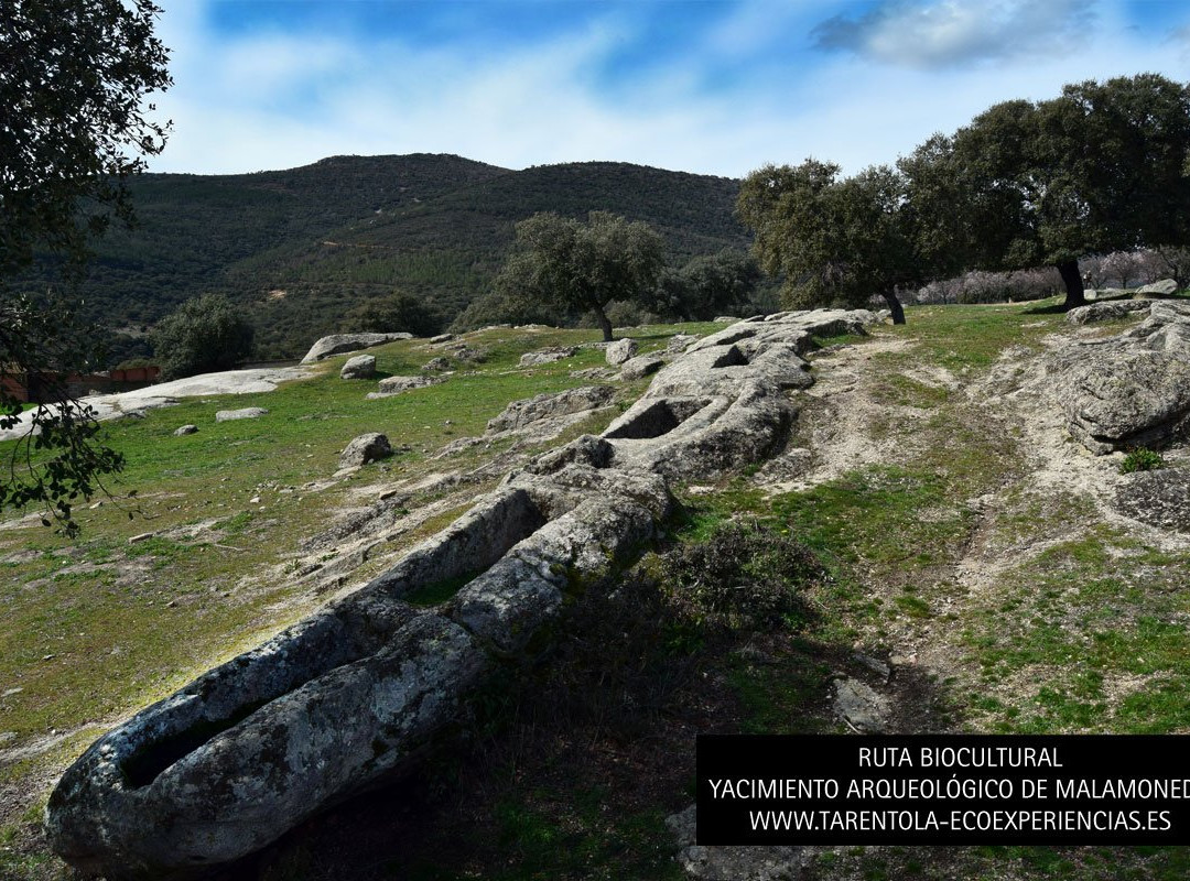 Tarentola Eco-Experiencias-Hontanar必去景点