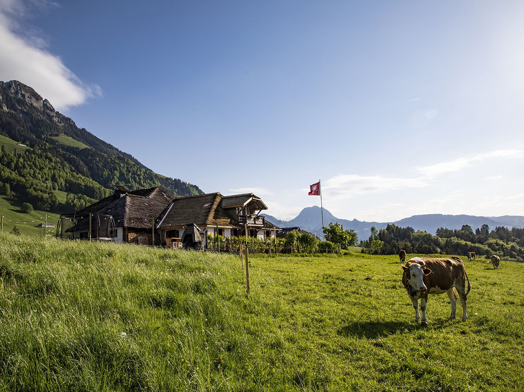 Chatel-sur-Montsalvens旅游攻略图片