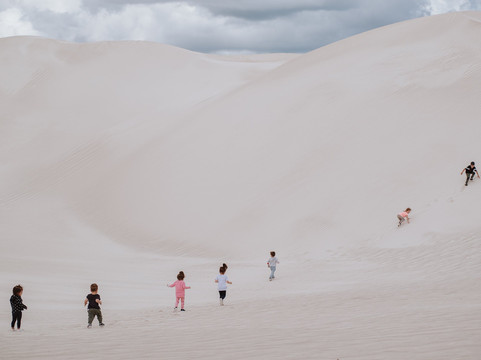 Westside Tours-珀斯必去景点