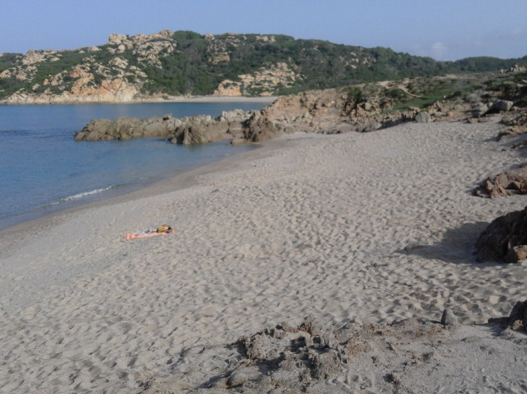 Spiaggia Lu Litarroni景点图片