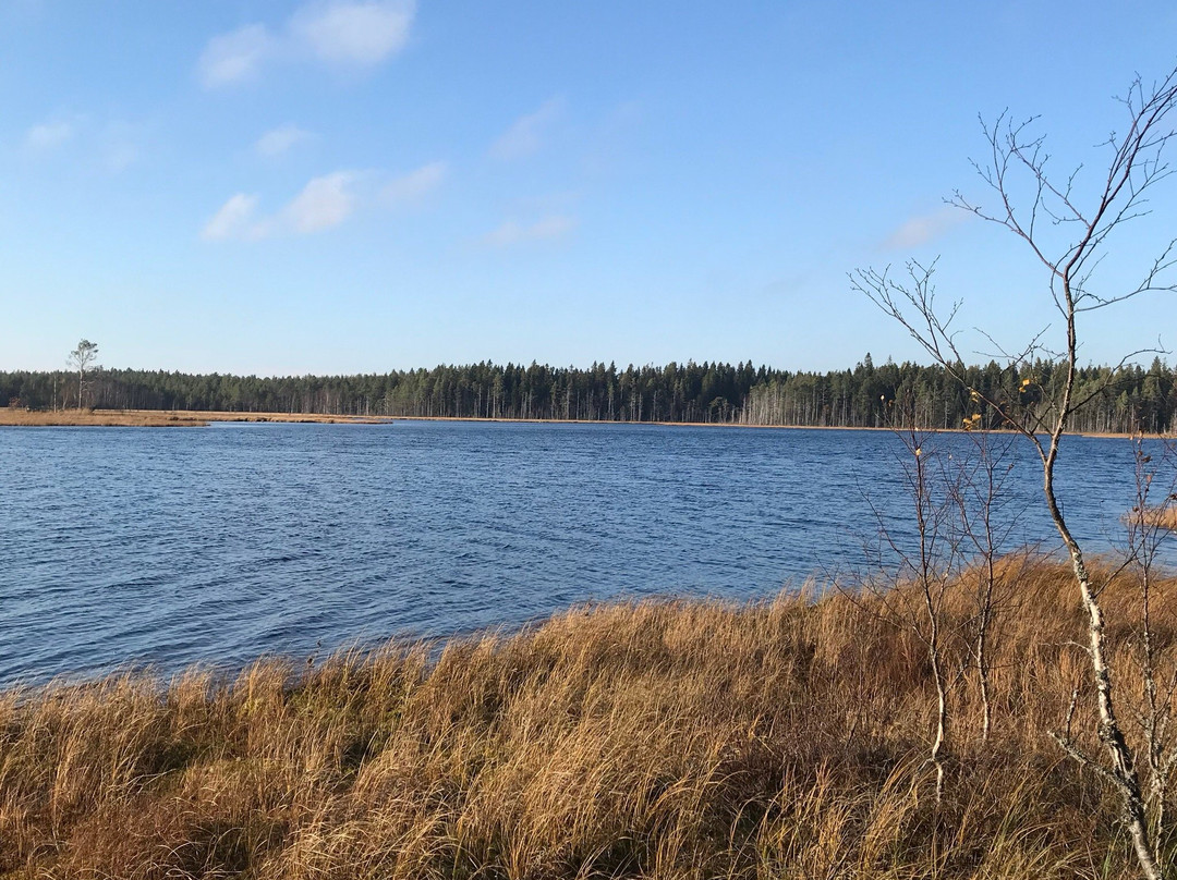 Grössjön Nature Reserve-于默奥必去景点