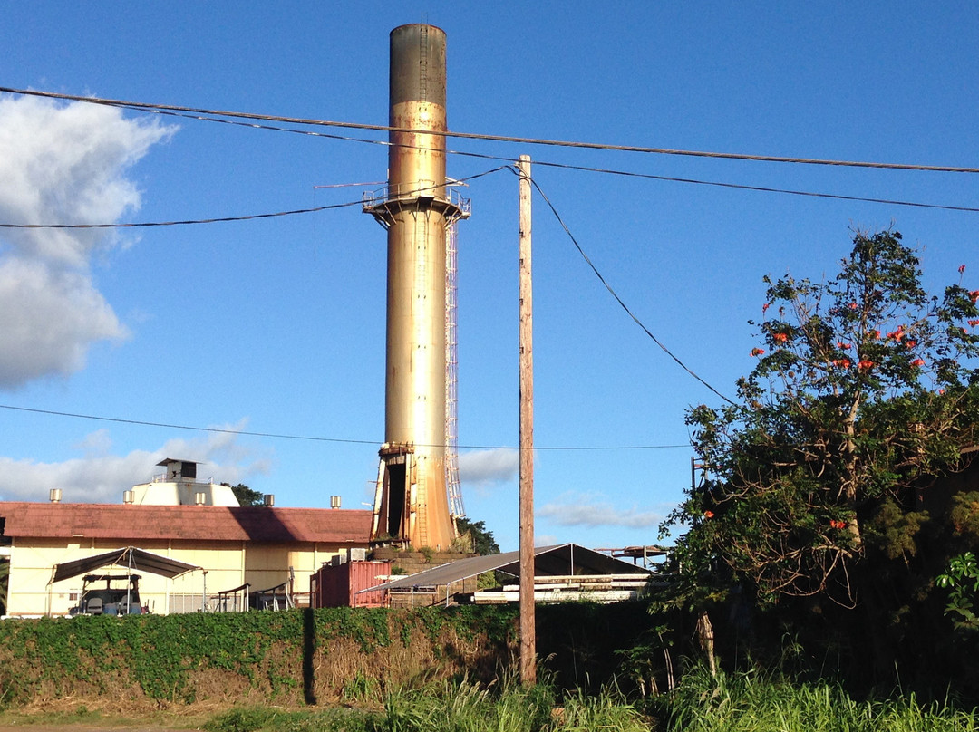 Hawaii Eats Food Tours-哈乌乌拉必去景点