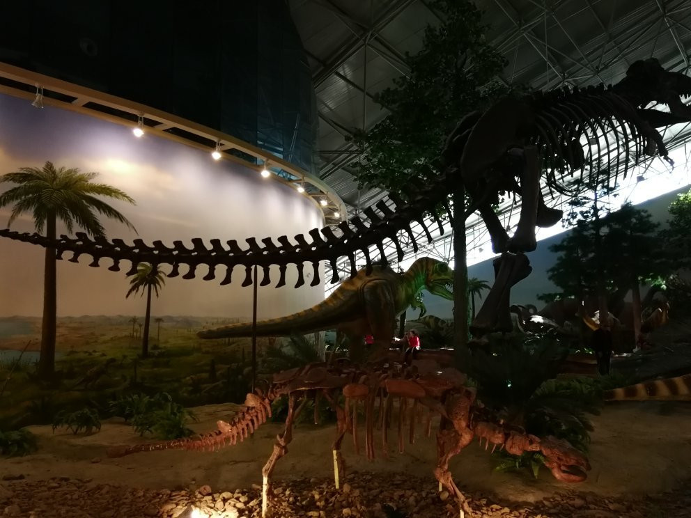 嘉荫恐龙国家地质公园-伊春市必去景点