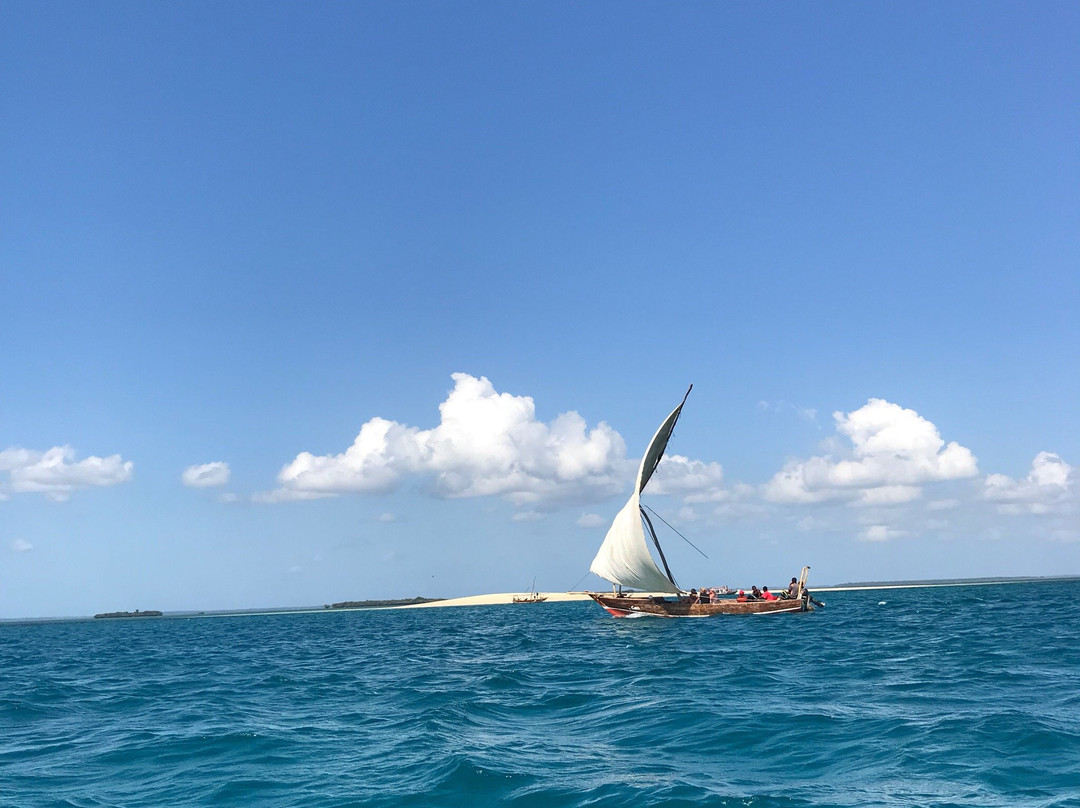 Aseid Tours-Fumba必去景点