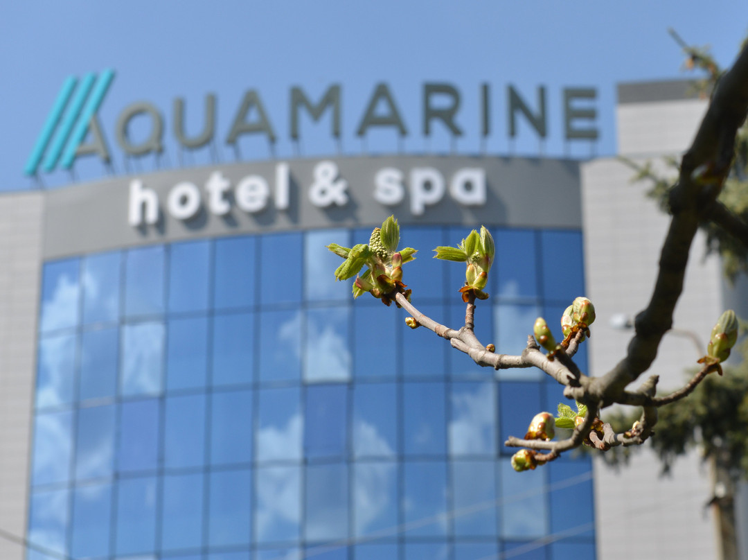 Aquamarine Hotel&Spa主图