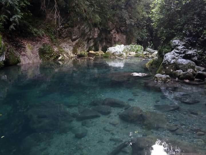 Reserva de la Biósfera Sierra Gorda景点图片
