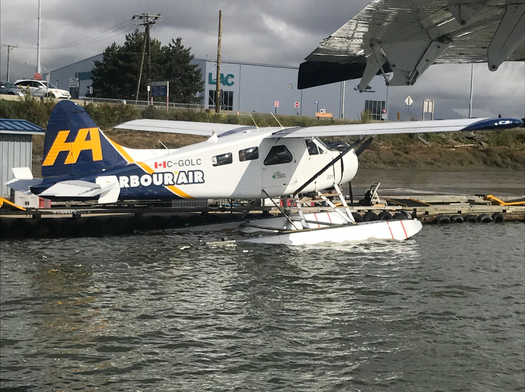 Harbour Air Seaplanes景点图片