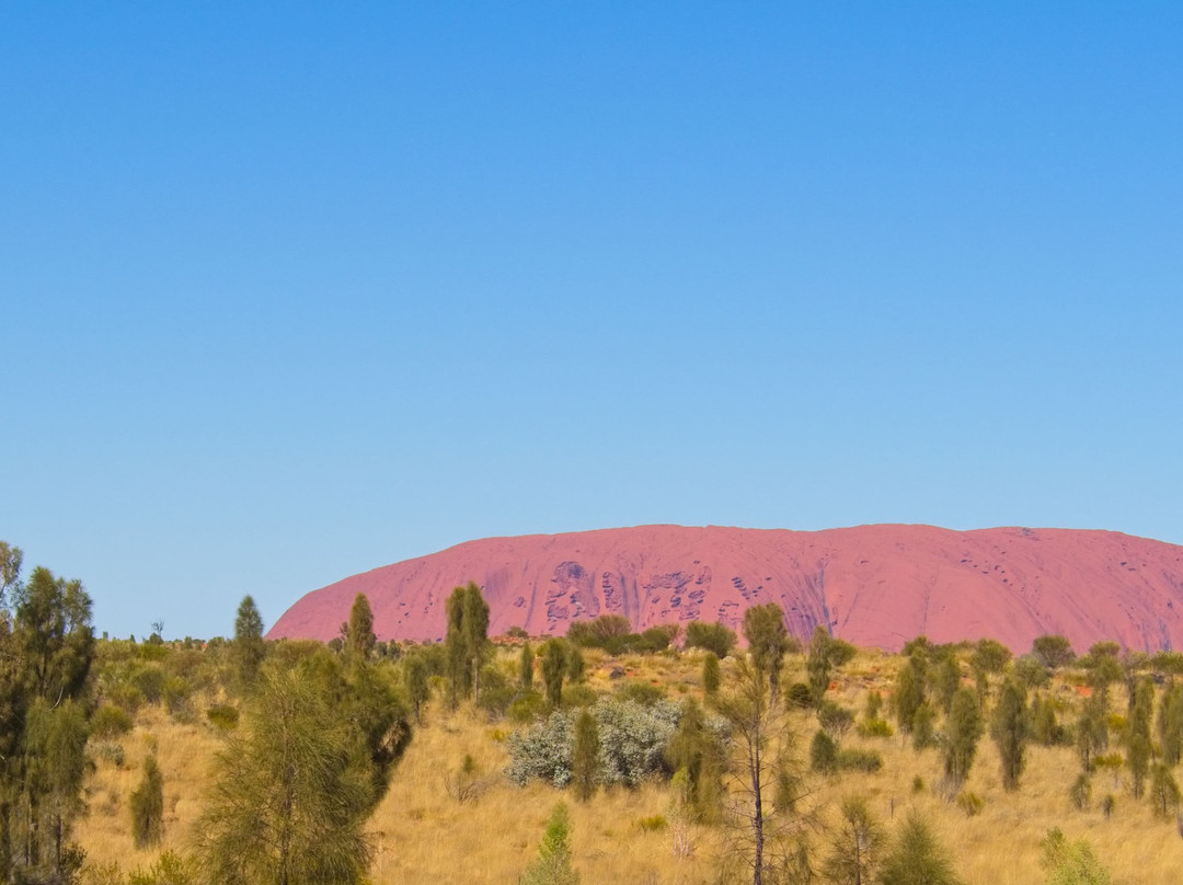 东经131酒店主图
