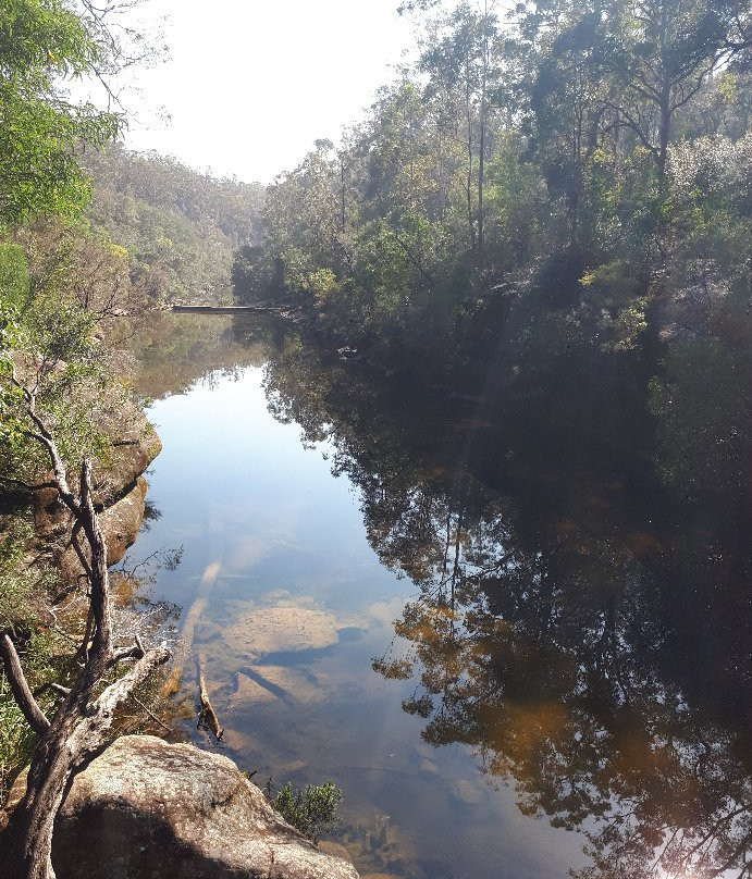 Ingleburn Reserve景点图片