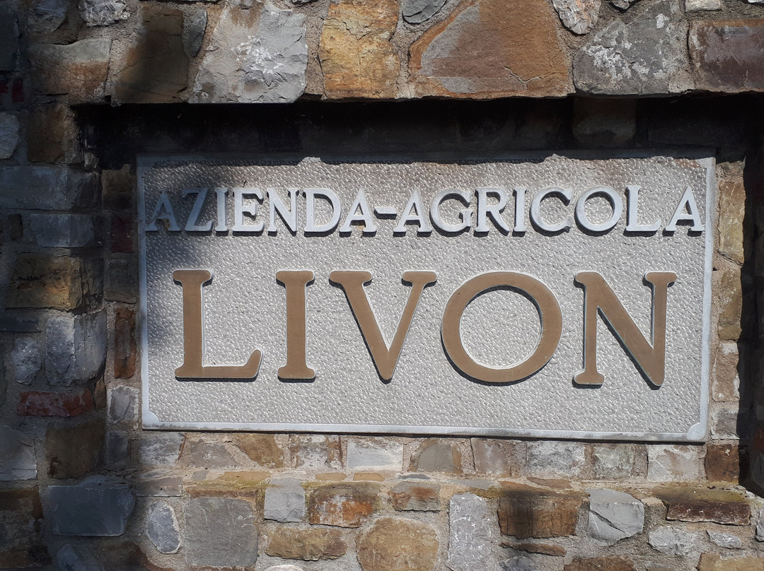 Azienda Agricola Livon景点图片