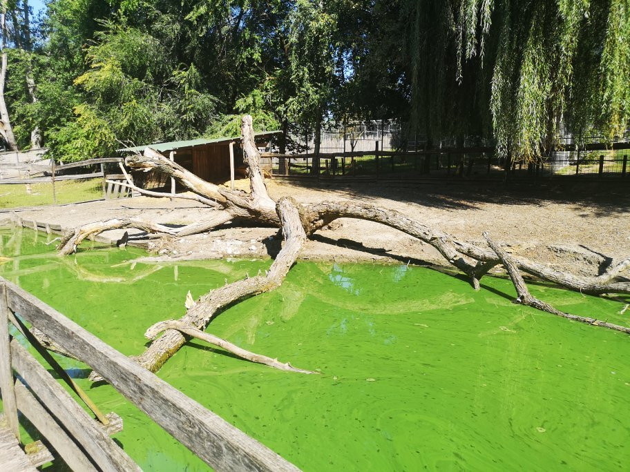 Jászberény Zoo and Botanical Garden景点图片