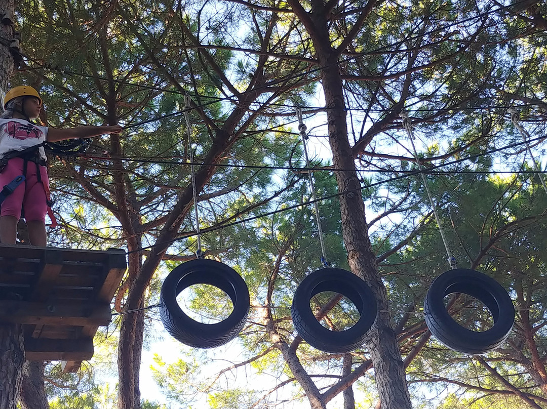 Parco Avventura Riva dei Tarquini景点图片
