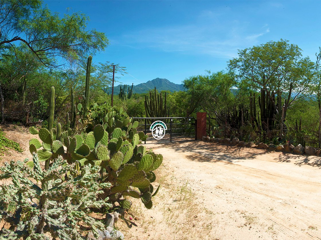 Rancho La Venta-San Bartolo必去景点