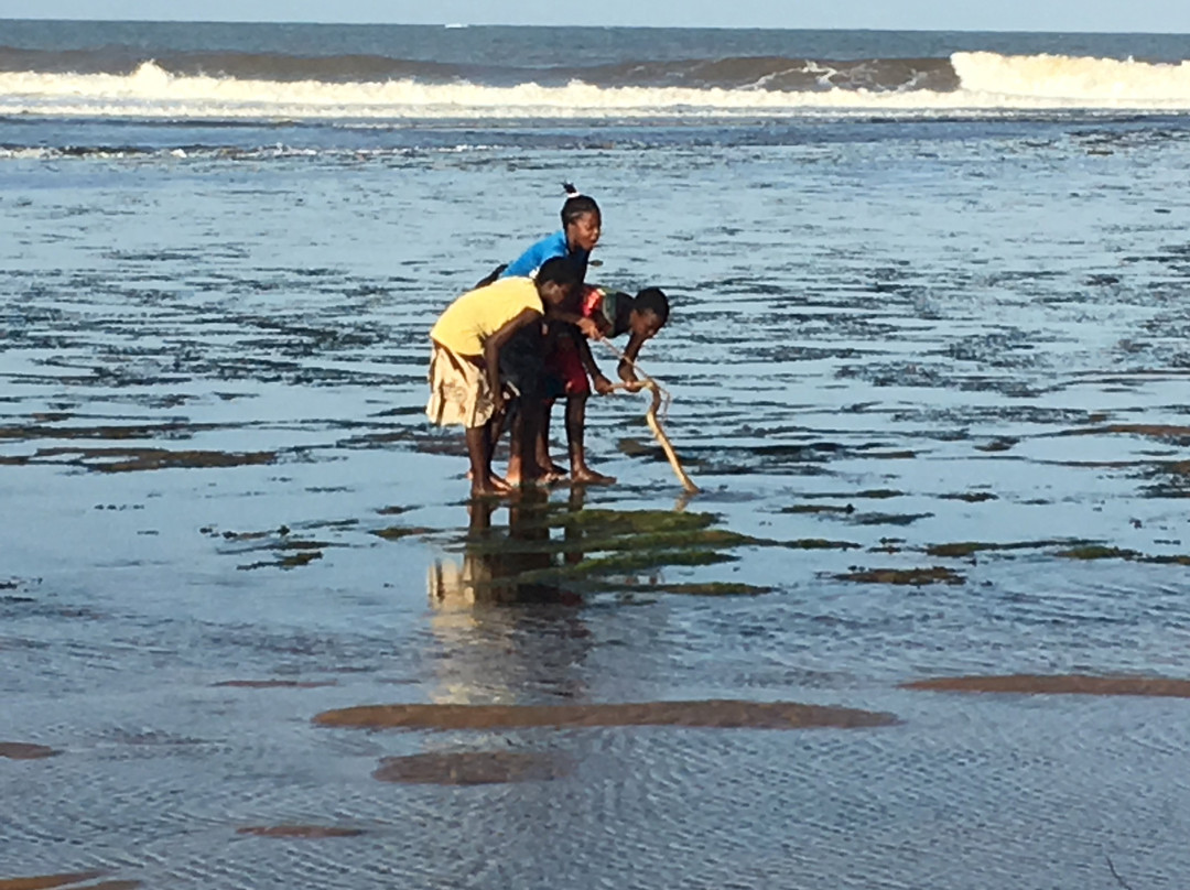 Kola Beach Resort主图