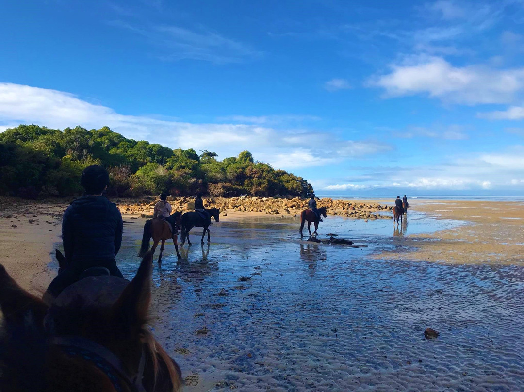 Abel Tasman Horse Trekking-玛拉豪必去景点