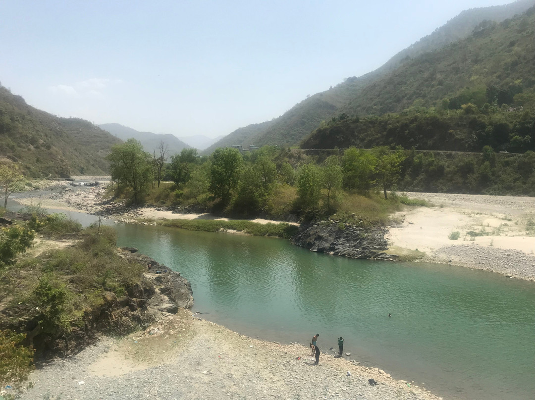 Banyan by the Ganges主图