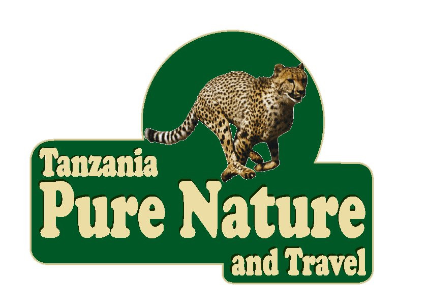 Tanzania Pure Nature and Travel景点图片
