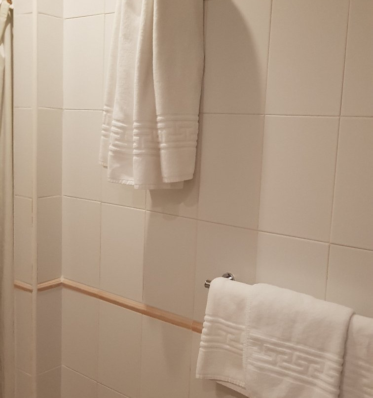 Hotel Avenida Leganes主图