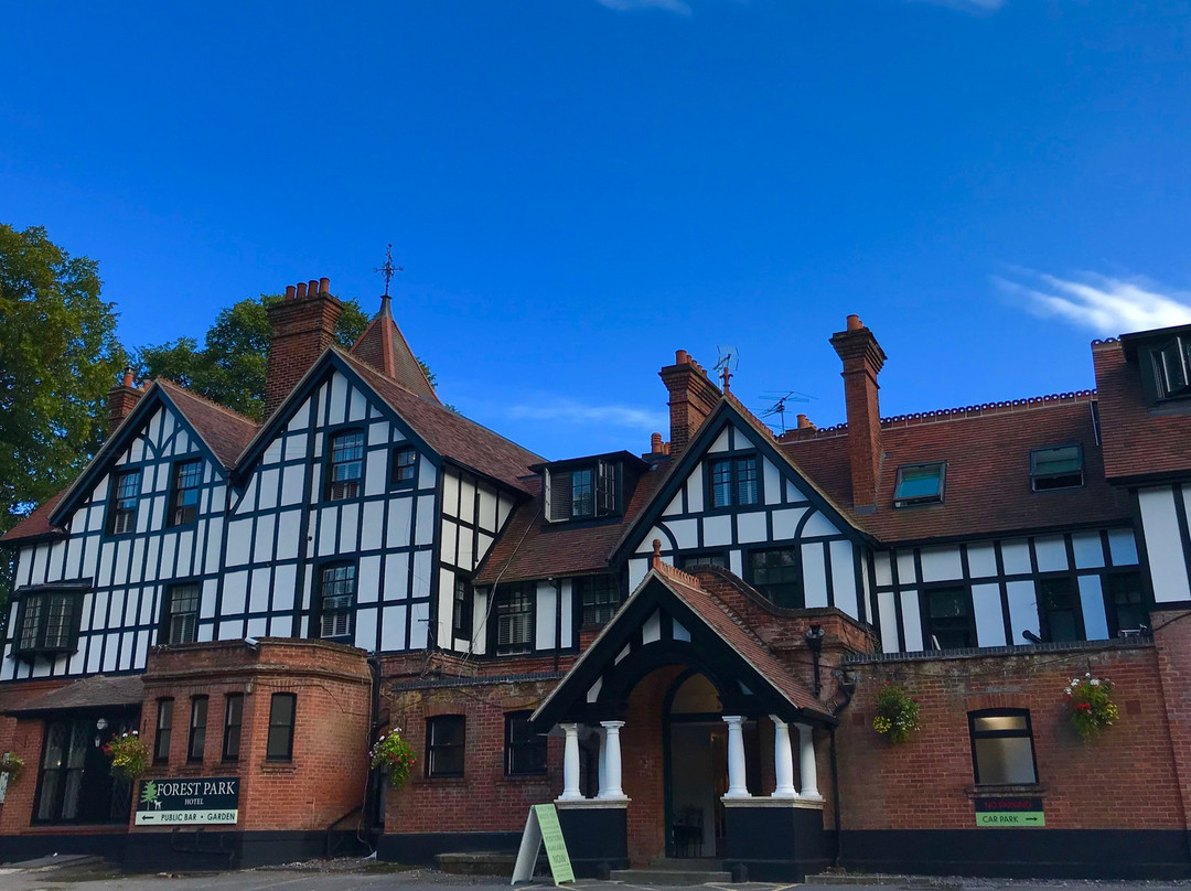 阿可仑森林公园酒店主图