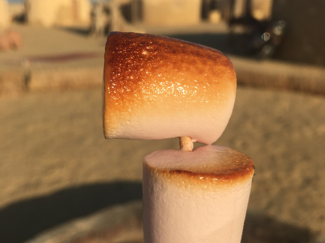 Sandboarding Cairo Club-开罗必去景点