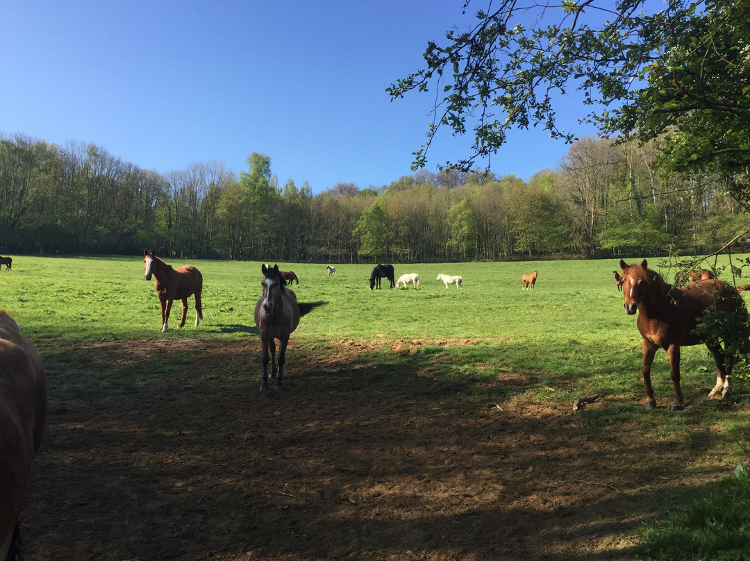 Ferme Equestre de la Chenaie-Givonne必去景点
