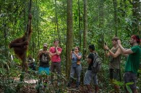 Fun Sumatra Tour & Travel-Deli Serdang必去景点