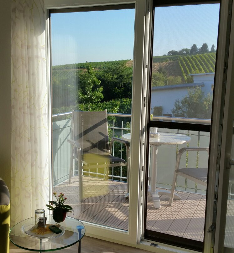 Hotel Rebstock主图