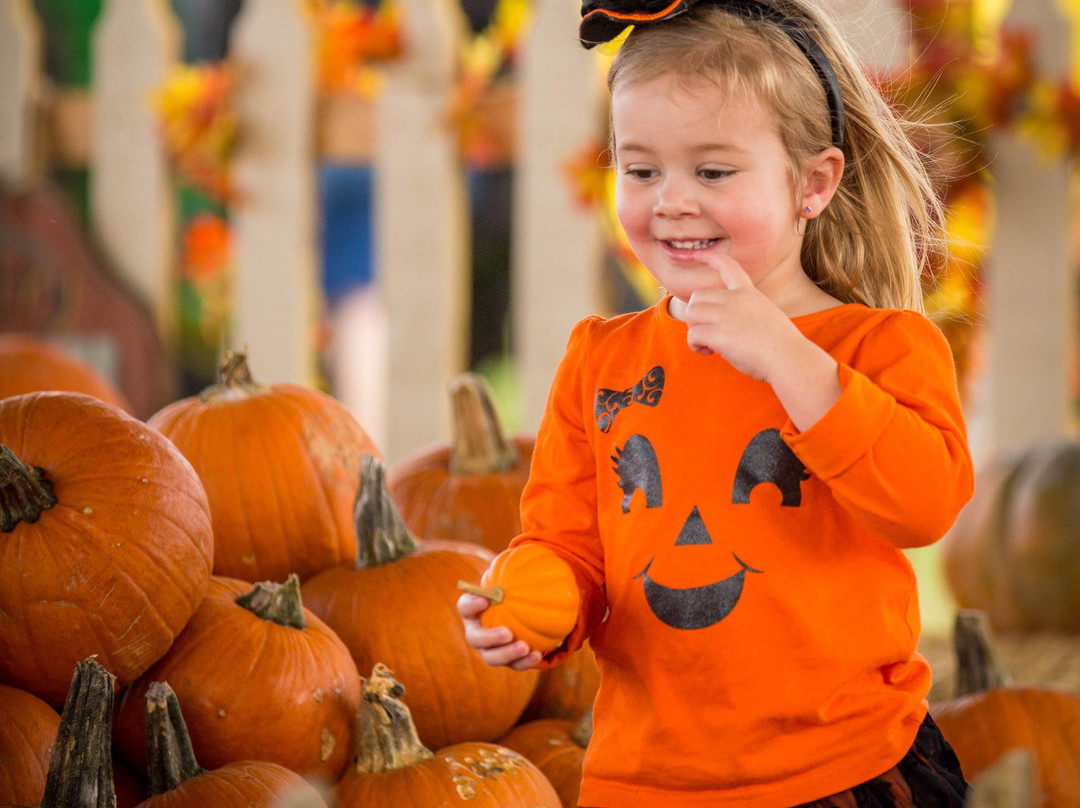 Rockin' K Farms-Robstown必去景点