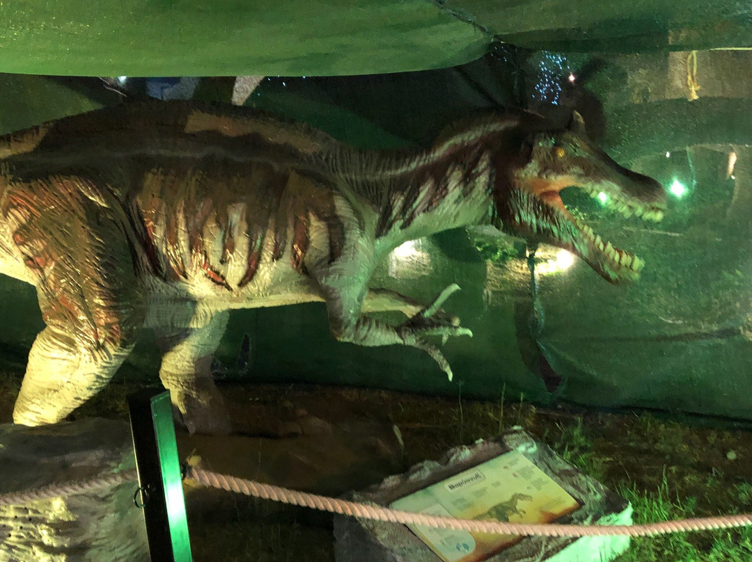 Theme Park and Dinosaurs Museum景点图片