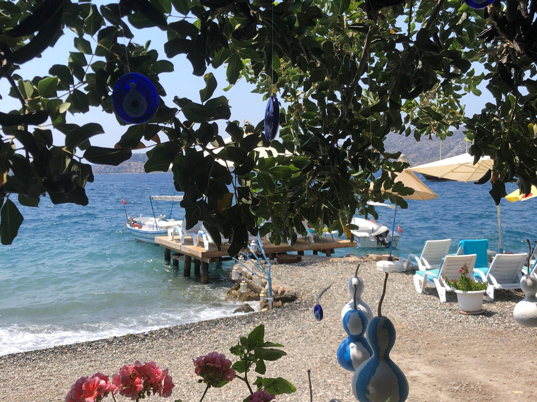 Sogut酒店住宿-Yasemin Pansiyon