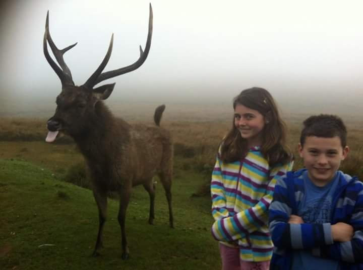 Ruvi Tours-尼甘布必去景点