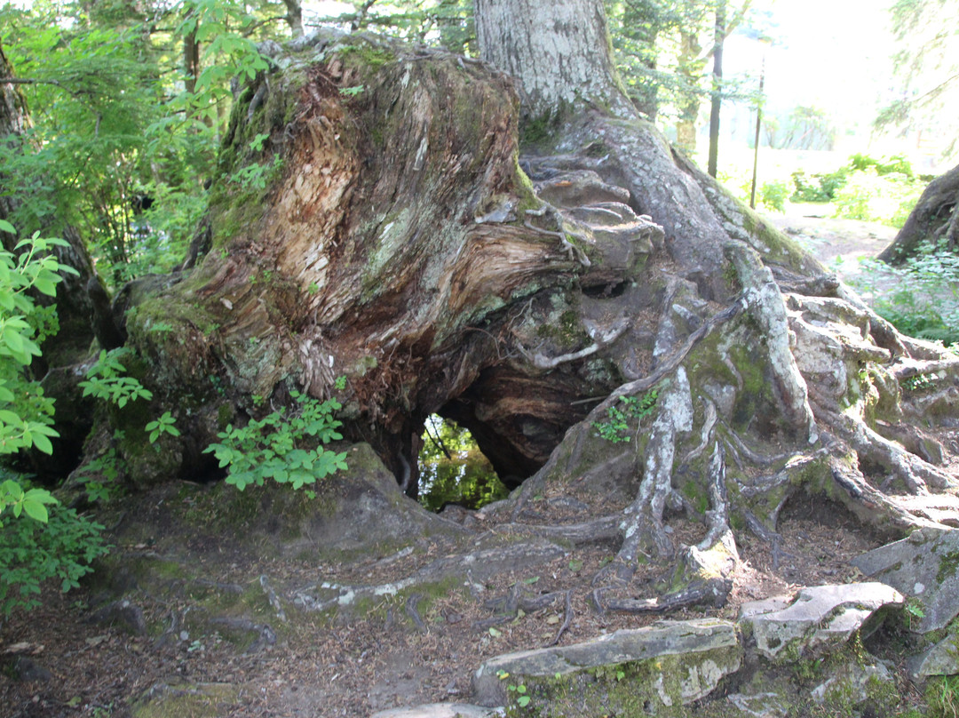 City Park of Ketchikan-凯奇坎必去景点