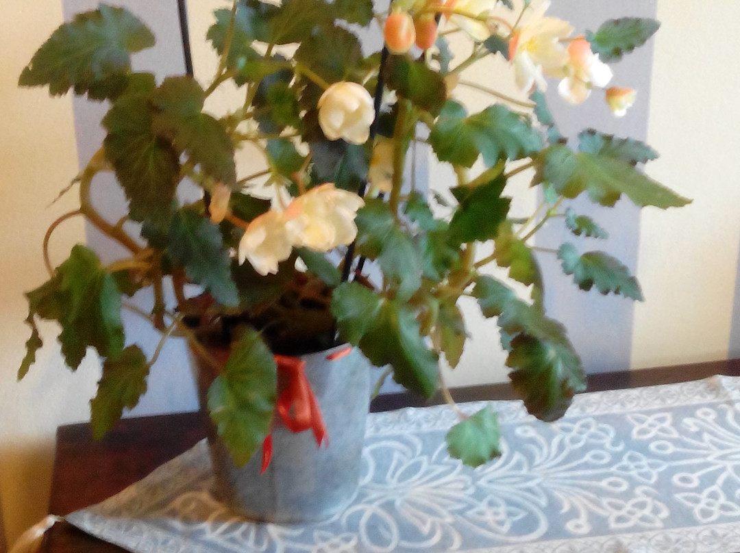 Casa Ronchi Bed and Breakfast主图