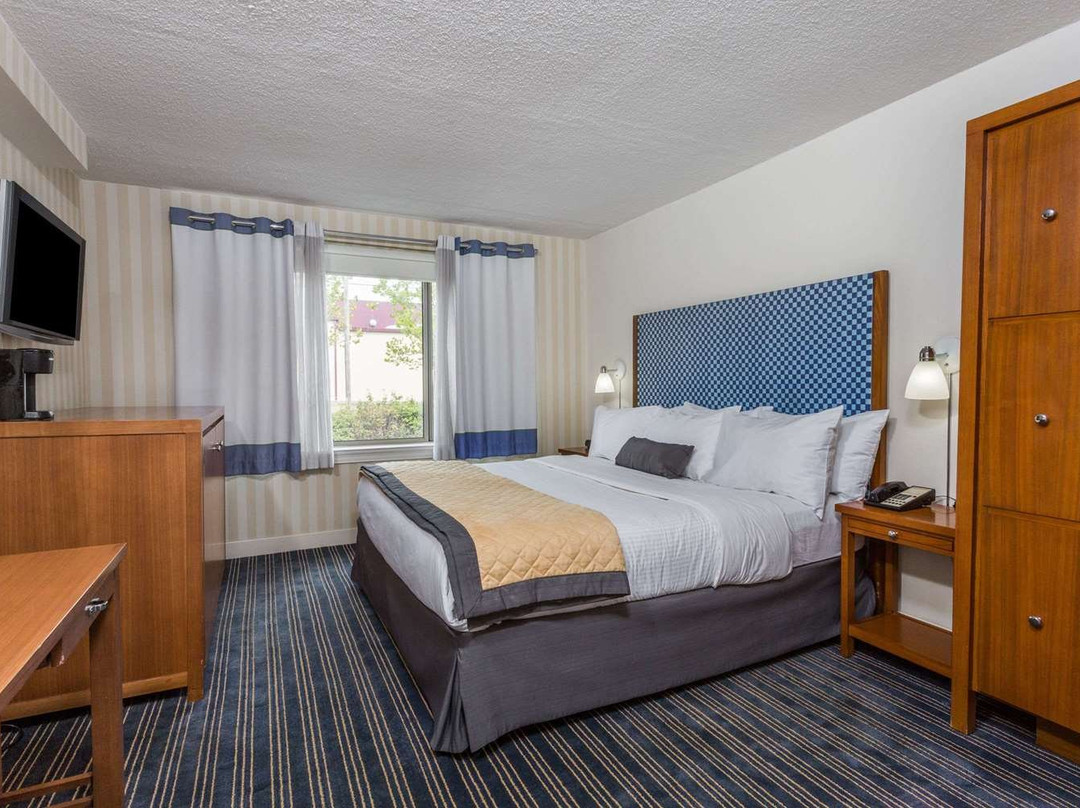 马纳萨斯巴特尔菲尔德福朋喜来登酒店主图