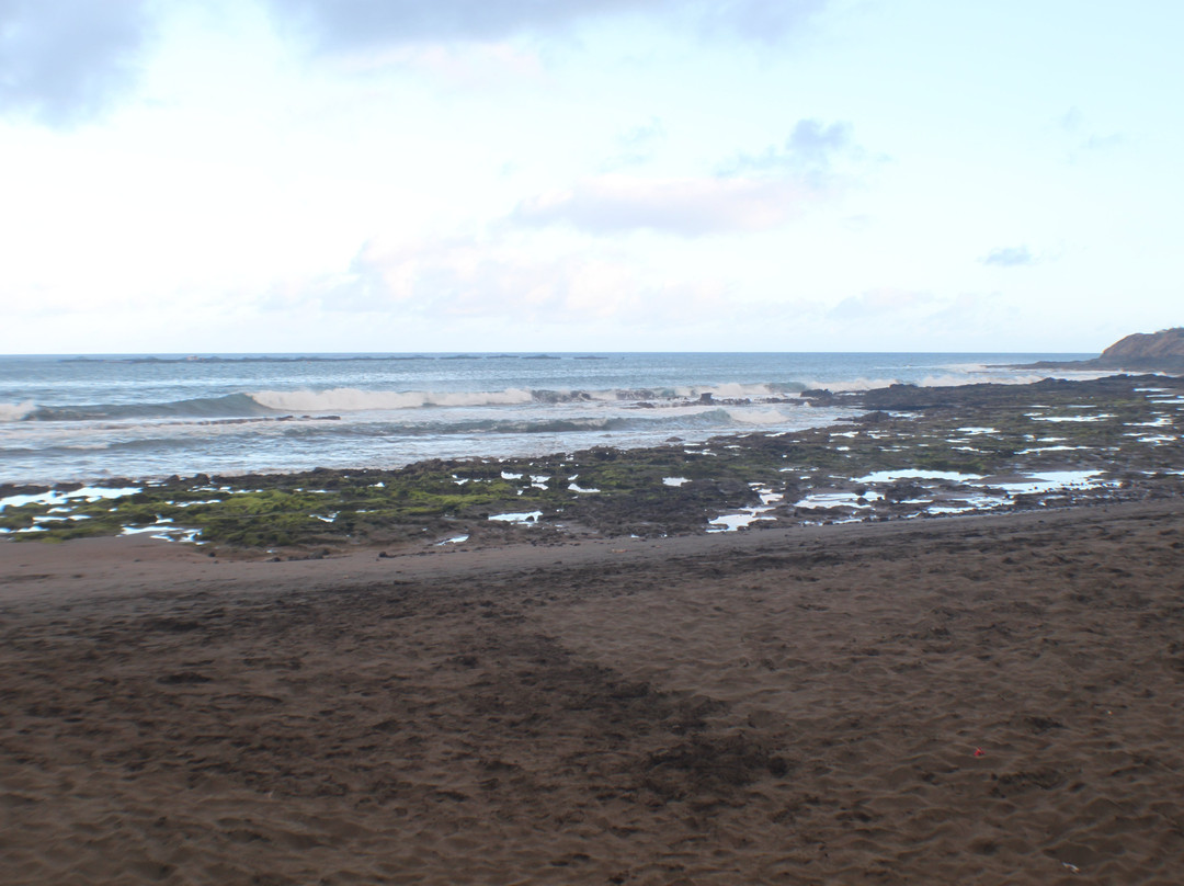 Mirador Playa de Salinetas景点图片