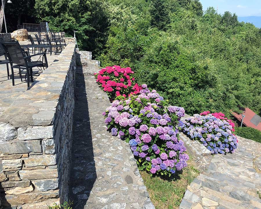 Dohos Hotel Experience主图