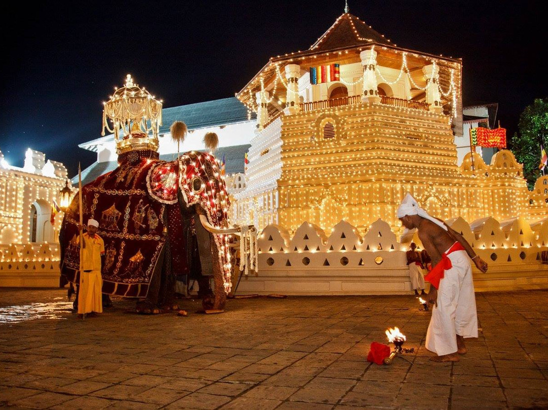SkyHaven Tours-康提必去景点