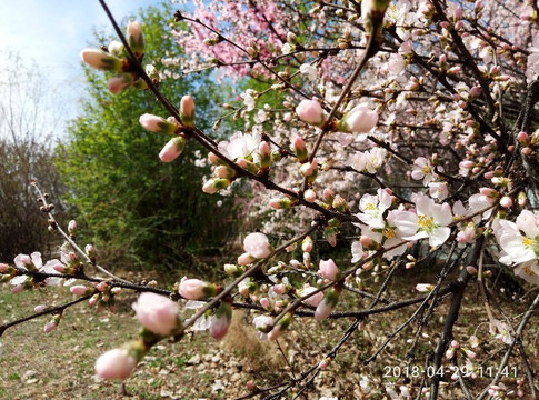 音河水库-甘南县必去景点