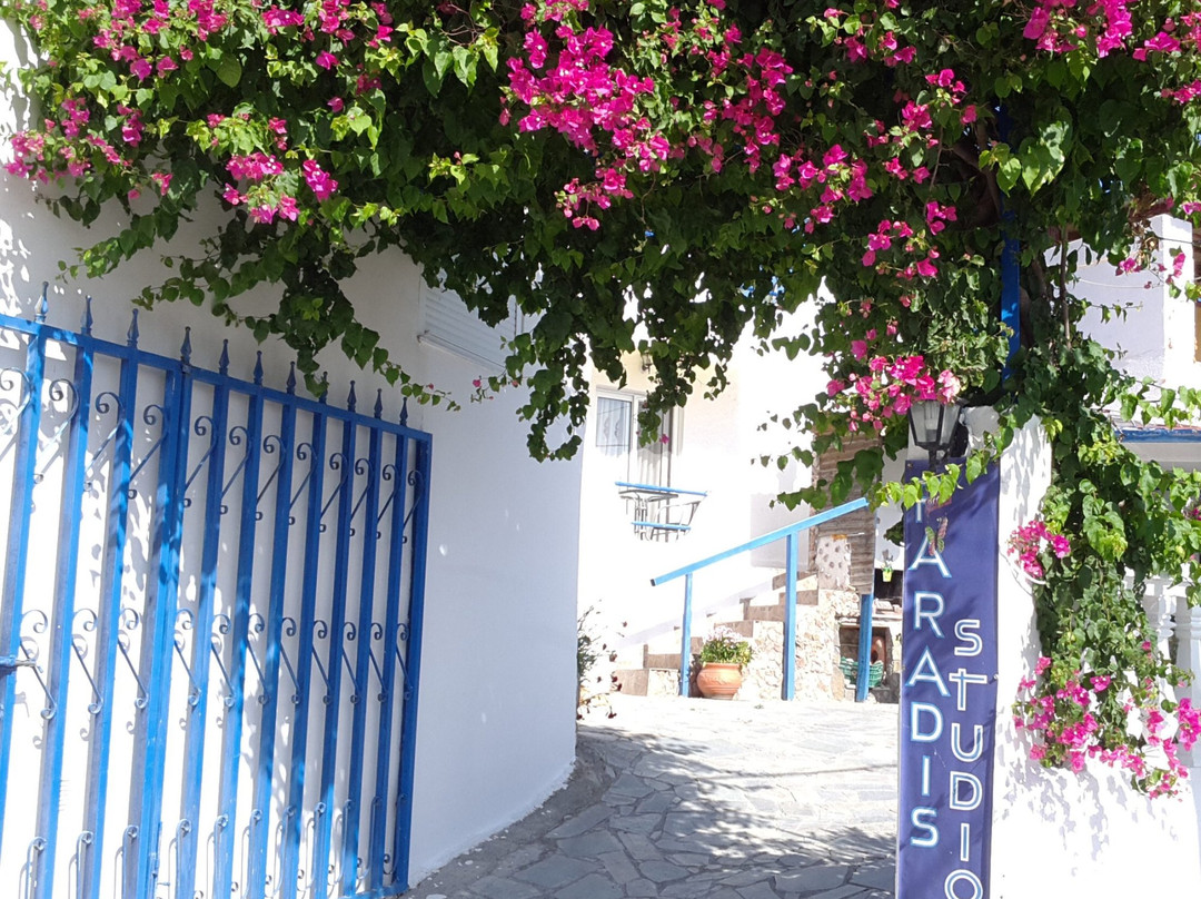 Paradis Studios主图