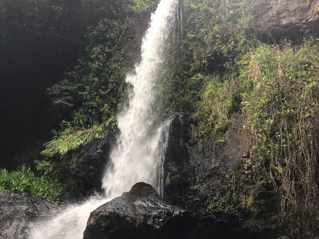 Wooroonooran National Park-Topaz必去景点