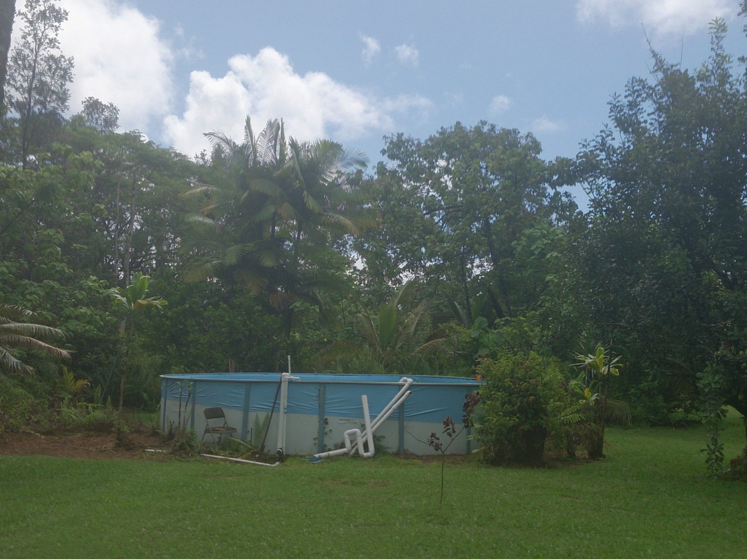 Hale Hale Hostel