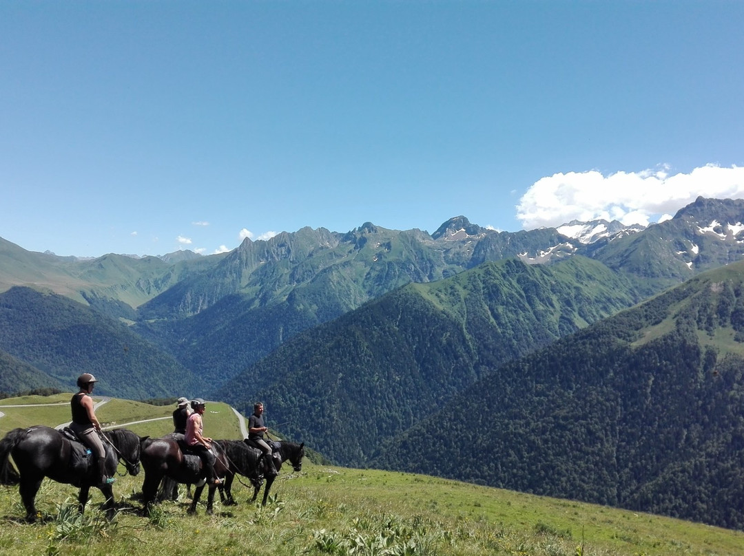 Centre Equestre de Luchon景点图片