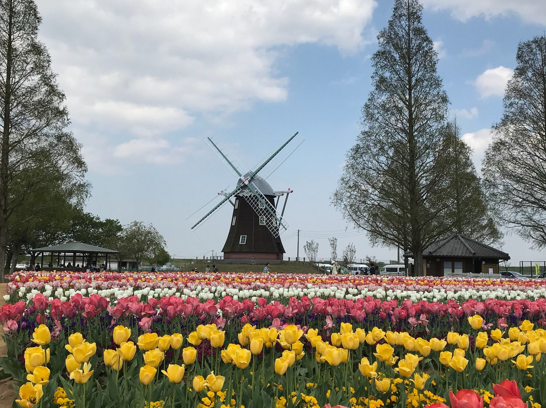Akebonoyama Agricultural Park-柏市必去景点
