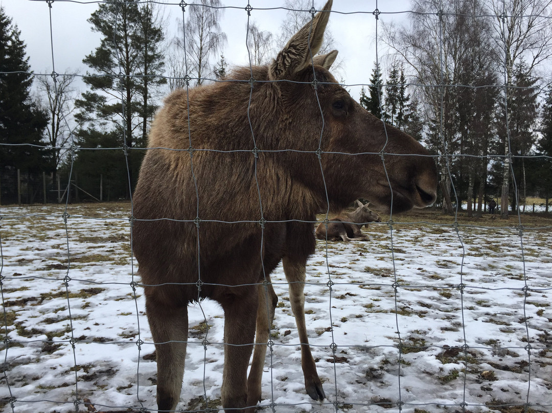 Hamneda旅游攻略图片