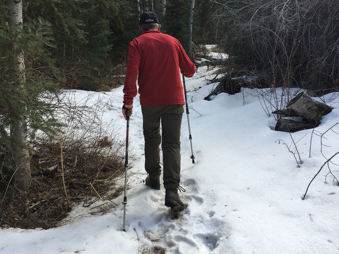 Baker Creek Loop Trail-Baker必去景点