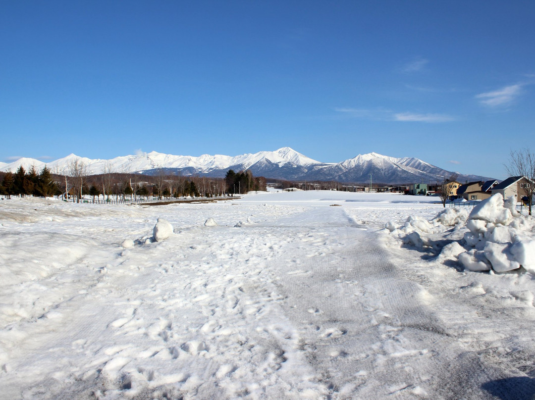 Panorama Road Ehana (Kamifurano Town Road No. 21)景点图片