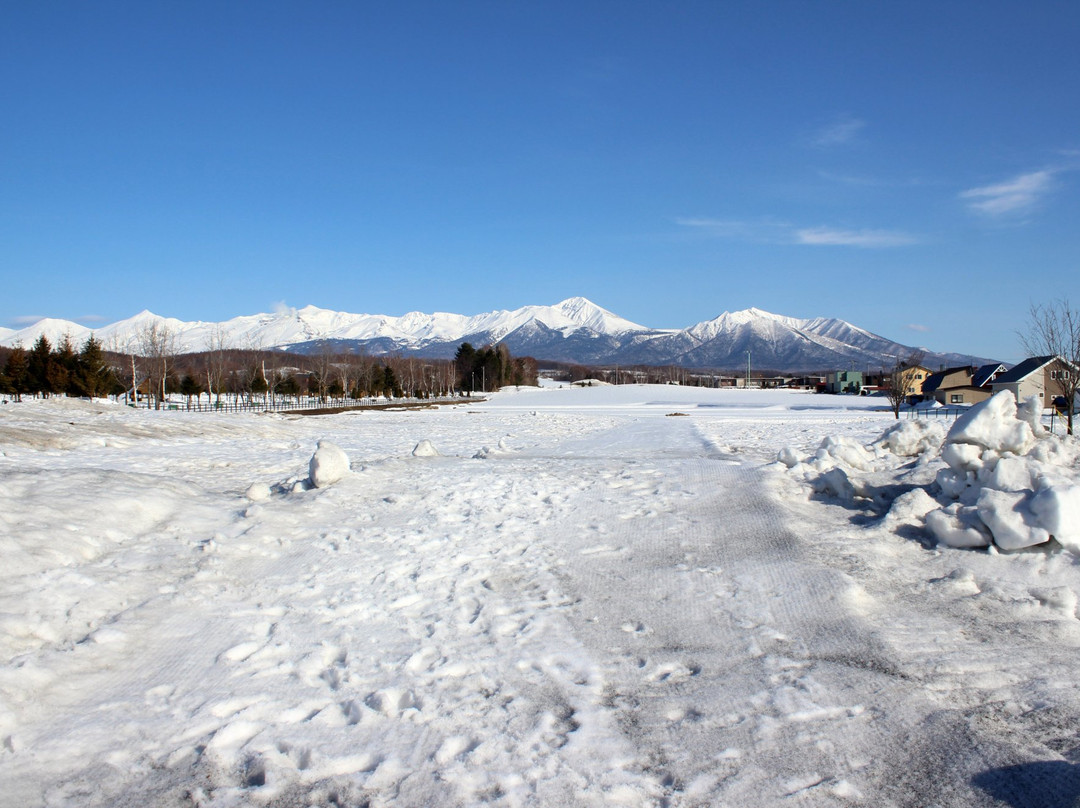 Panorama Road Ehana (Kamifurano Town Road No. 21)景点图片