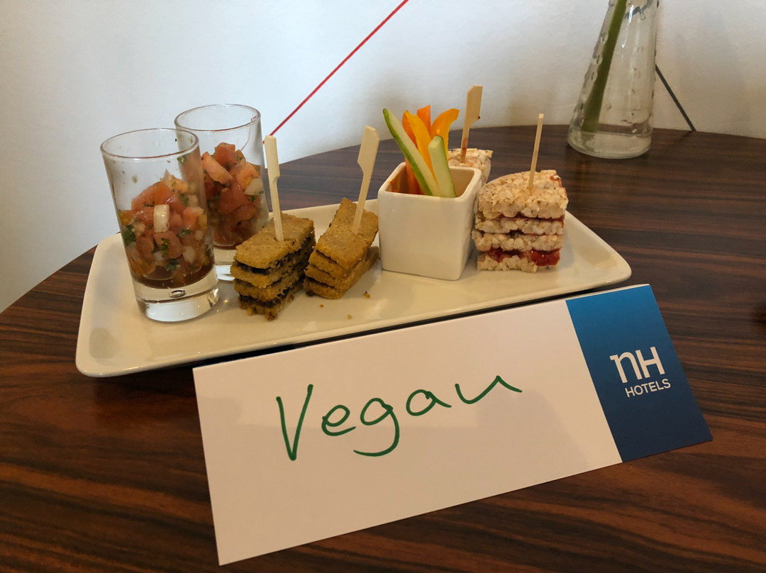 弗兰克福特涅得拉德NH酒店主图