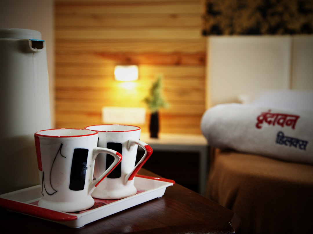 Vrundavan Deluxe主图