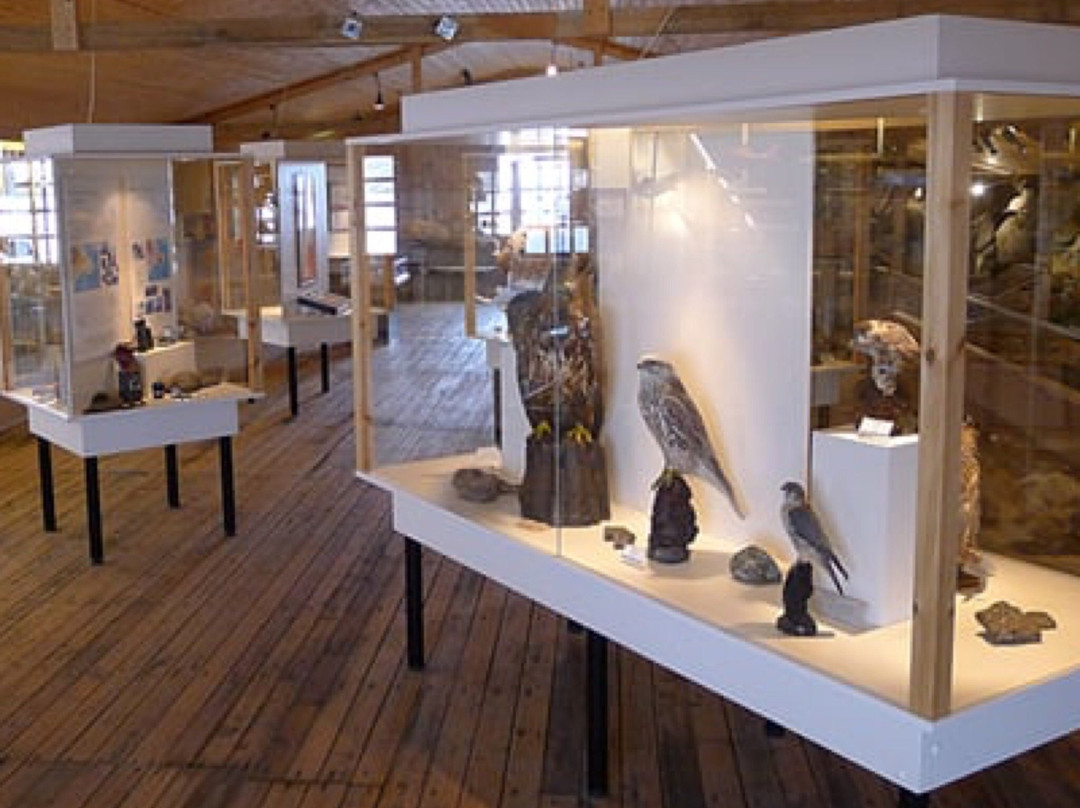 Museum of Natural History-内斯克伊斯塔泽必去景点